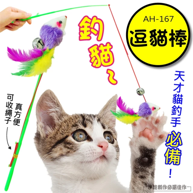 AH-167 逗貓棒 5入組(逗貓棒 貓玩具 寵物玩具 寵物智商 增加運動 貓狗)