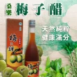 【花蓮桑樂】梅子醋520mlX1瓶