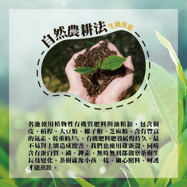 【名池茶業】悅景合歡大禹嶺品級高冷烏龍無烘焙青茶75gx4包(共0.5斤)