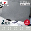 【Made in Taiwan】外銷日本-極簡霧灰珪藻土地墊-2片組(加厚加大 MIT 防霉 灰色 工業風 吸水 珪藻土)