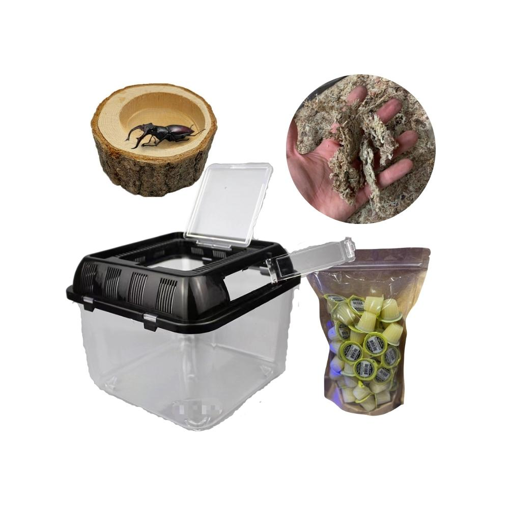 【Petvibe寵趣生活】甲蟲獨角仙飼養箱大全配30入果凍套組(甲蟲果凍/高蛋白果凍/寵物果凍/甲蟲/獨角仙)