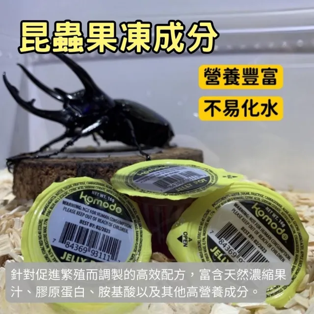【Petvibe寵趣生活】甲蟲獨角仙飼養箱大全配30入果凍套組(甲蟲果凍/高蛋白果凍/寵物果凍/甲蟲/獨角仙)