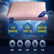 【DaoDi】2入組7星級飯店抗菌乳膠枕頭(枕頭)