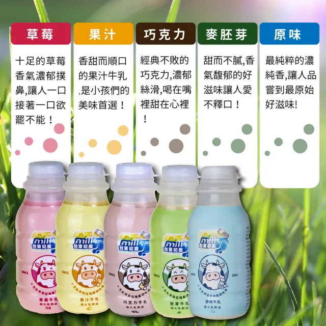 【台東初鹿】牛乳系列飲品215mlx12罐x3箱(共36罐/原味/草莓/巧克力/果汁/麥胚芽)