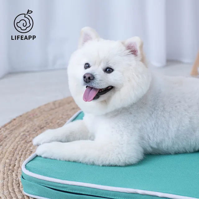 【LIFEAPP 徠芙寶】經典透氣睡墊/S(寵物緩壓睡墊、中小型犬適用)