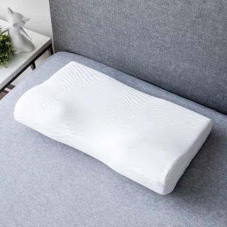【HOLA】恆好眠防螨抗菌記憶枕正側兩用型H10/13cm