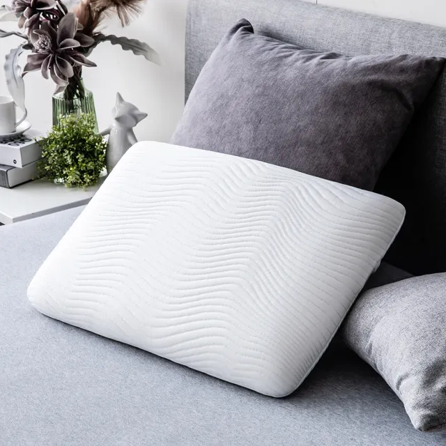 【HOLA】恆好眠防螨抗菌記憶枕標準型H10cm