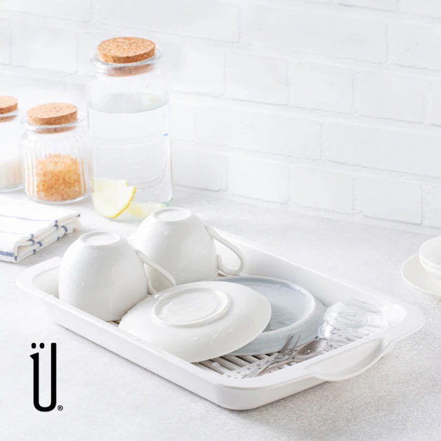 【UdiLife】2入組 MIT台灣製 淺型瀝水盤(餐具收納 瀝水 瀝乾 碗盤收納)
