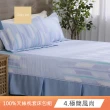 【Cozy inn】100%萊賽爾天絲枕套床包組-單人(多款任選)