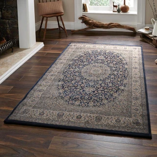 【范登伯格】比利時 渥太華150萬針古典地毯-富麗(170x230cm/共二色)