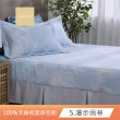 【Cozy inn】100%萊賽爾天絲枕套床包組-雙人(多款任選)