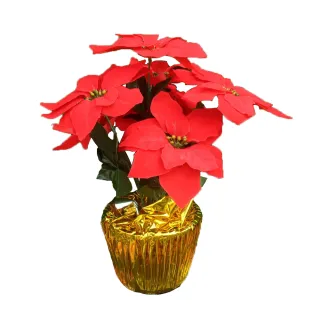 【園藝世界】人造花-金盆裝聖誕紅-6入(7頭聖誕紅)