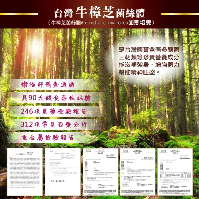 【好朋友】牛樟芝菌絲體+黃金蜆 肝精30顆x2盒(進口朝蘚薊+鋅+綜合B群6效合一)