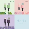 【KINYO】Type-C霧線色液態矽膠數據線 1.2M(USB-C903)