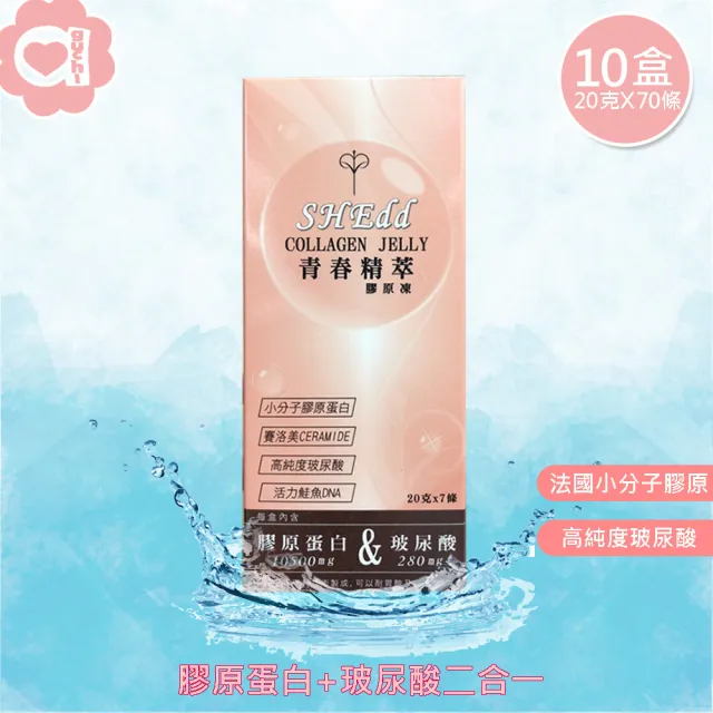 【必爾思】SHEdd 水噹噹青春精粹膠原凍 - 10 盒組 20克X70條 膠原QQ凍 膠原蛋白+玻尿酸二合一高效吸收