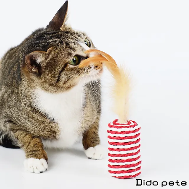 【Dido Pets】貓咪逗貓玩具豪華大禮包-7件組(PT011)