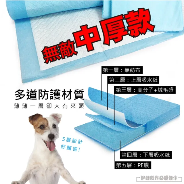 【IDREES 伊德萊斯】寵物尿布墊 狗尿布 幼貓幼犬 尿墊 吸水 加厚款 狗廁所 寵物衛生墊 附品寵物外出包
