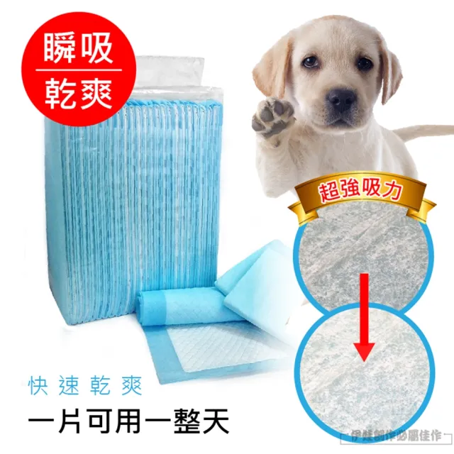 寵物尿布墊 AH-97(狗尿布 幼貓幼犬 尿墊 吸水 加厚款 狗廁所 犬用 寵物衛生墊)