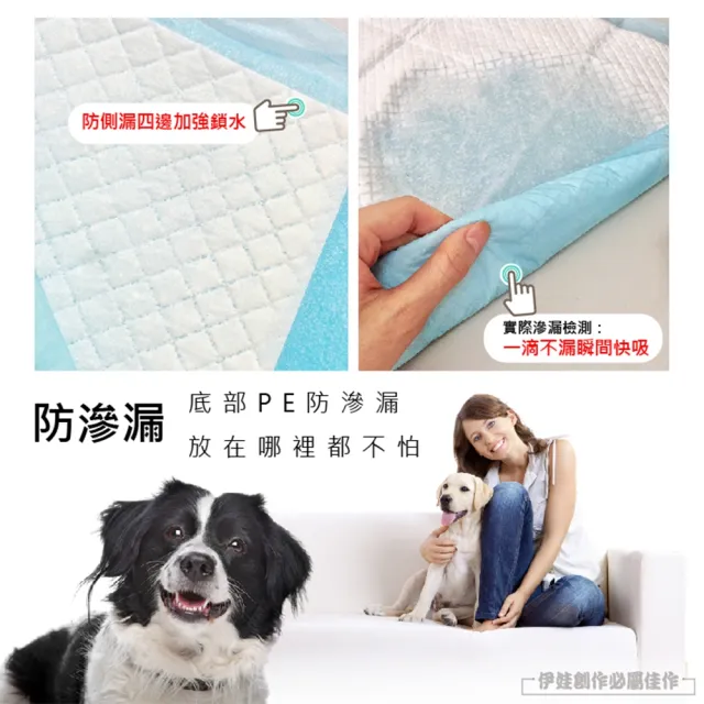 【IDREES 伊德萊斯】寵物尿布墊 狗尿布 幼貓幼犬 尿墊 吸水 加厚款 狗廁所 寵物衛生墊 附品寵物外出包