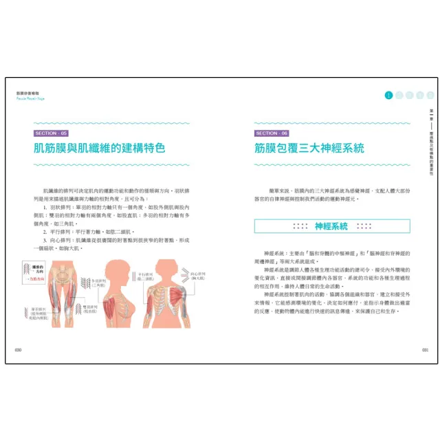 筋膜修復瑜伽：舒緩全身痠痛、達到身心平衡的軟木按摩法