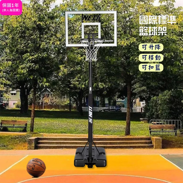 【BBALL】2003成人籃球架/透明籃板/實心籃框/可調高度/可移動(室內戶外/MIT)