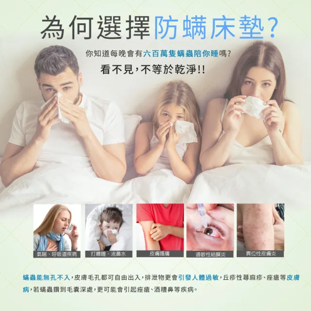 【LooCa】雙人5尺 法國防蹣5cm全記憶床墊150x188cm★送枕X2｜宿舍床墊推薦