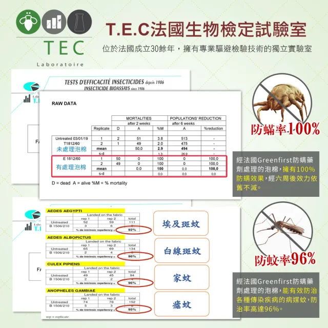 【LooCa】法國防蹣5cm全記憶床墊(單人3尺-送枕X1)