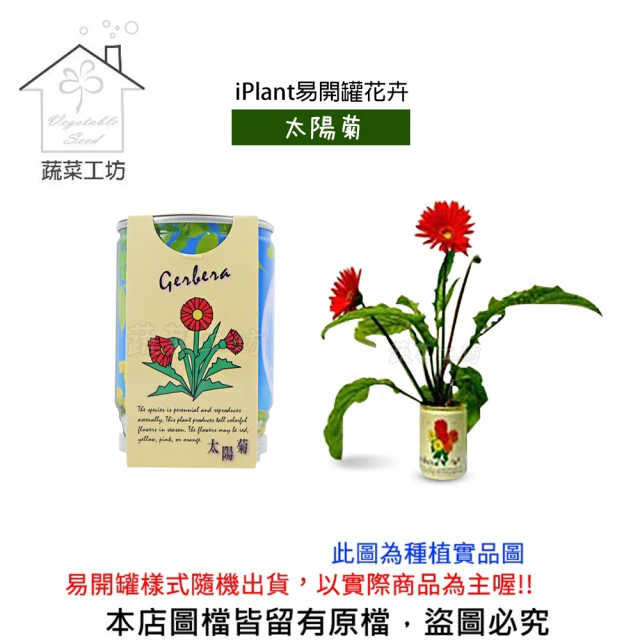 蔬菜工坊 iPlant易開罐花卉(太陽菊)