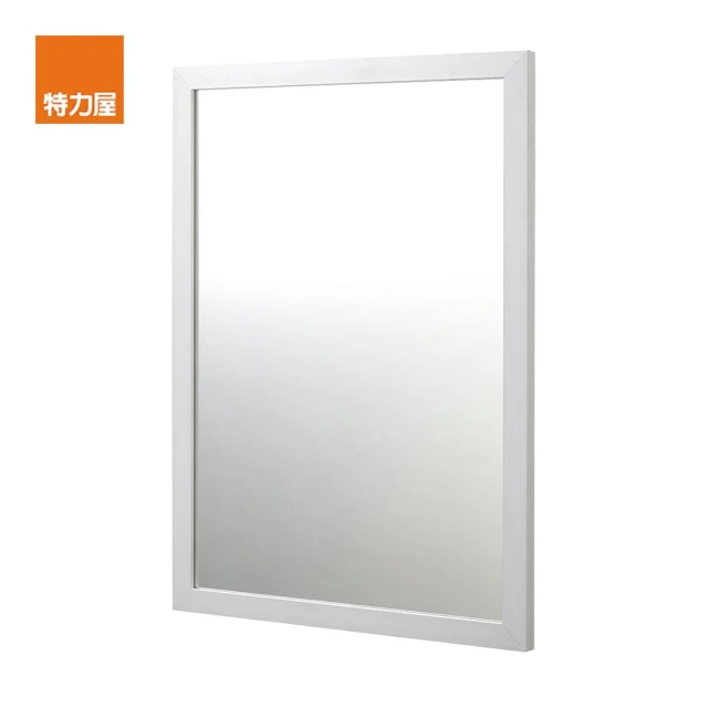【特力屋】無銅雙掛PS防水框鏡 白色 70x50cm
