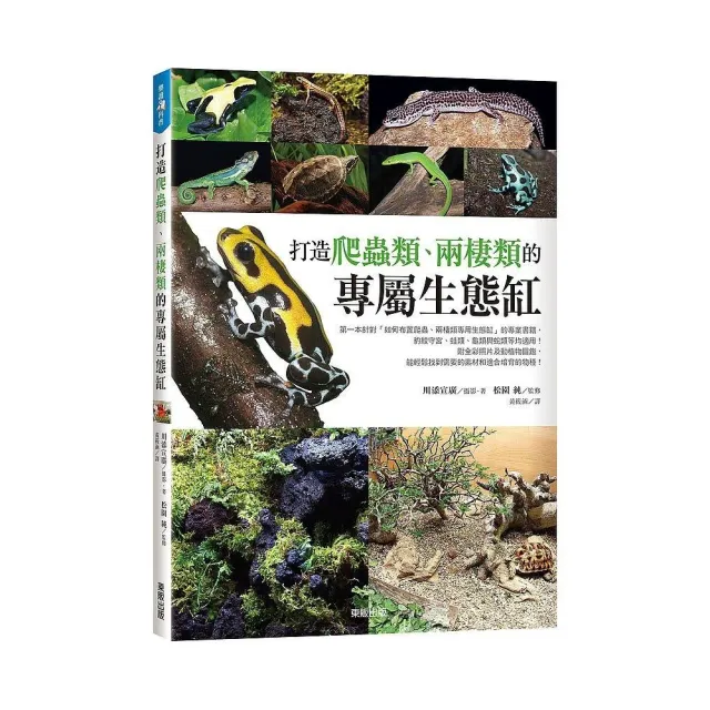 打造爬蟲類、兩棲類的專屬生態缸