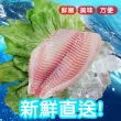 【賣魚的家】大片新鮮鯛魚片8片組(200-250/片)