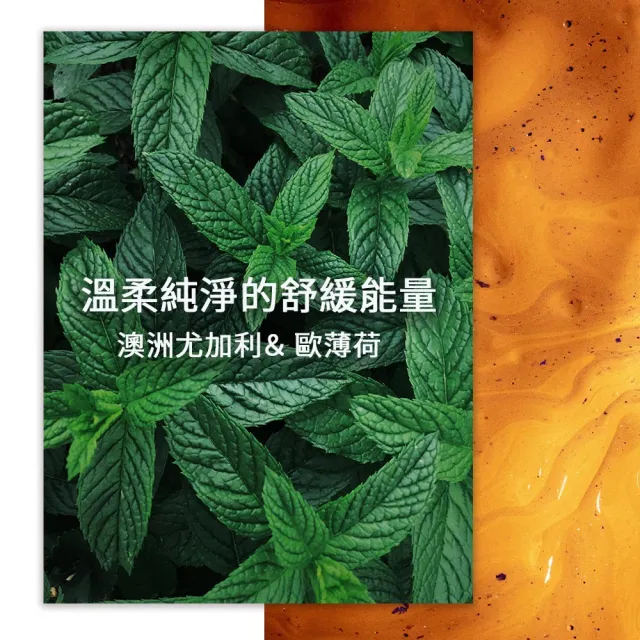 【AGRICOLA 植物者】淨呼吸滾珠精油 10ml(天然複方香氛 深呼吸精油棒)