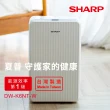 【SHARP 夏普】一級能效6公升高效除濕機+UV紫外線抗菌塵蹣機(DW-K6NT-W+XYFXJ1201)