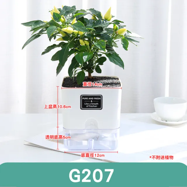 【fioJa 費歐家】磁吸免澆水懶人盆栽 G206 & G207款 簡單好養種植(自動吸水 創意花盆 悠閒居家 盆栽容器)