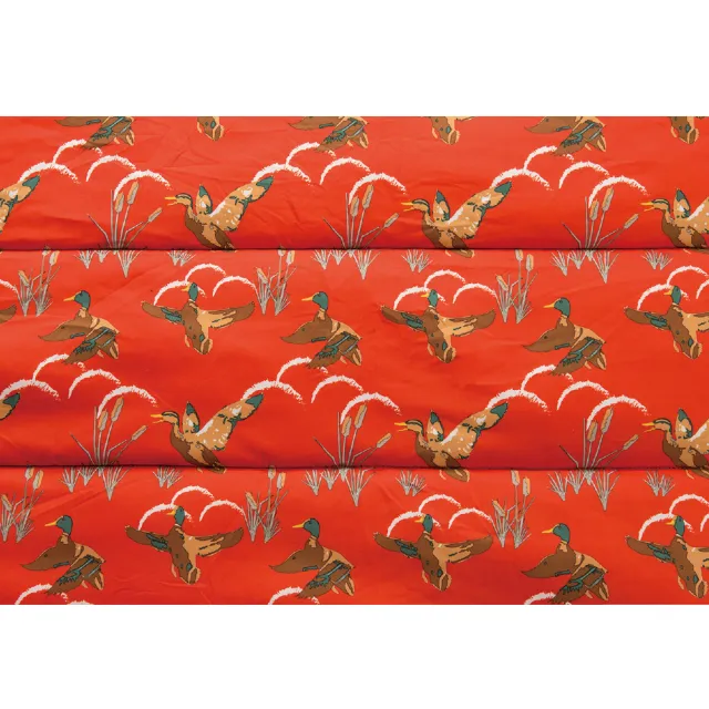 【Coleman】COZY II / C5 / 橘睡袋(CM-34772M000)