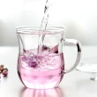 【RELEA 物生物】買1送1_380ml優雅耐熱玻璃泡茶杯(附濾茶器)