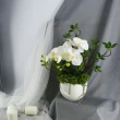 【HUGO DECO 榆果傢飾】白蝴蝶蘭香氛花藝(擬真花/香氛/花禮/節慶送花)