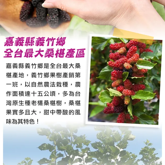 【享吃鮮果】嘉義義竹黑鑽鮮凍桑椹150gx8盒(天然花青素/黑寶石)