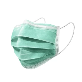 【南六】醫用成人口罩2盒組 (50片/盒 /薄荷綠/台灣製造 MD雙鋼印 國家隊 卜公家族)醫療級  醫療口罩