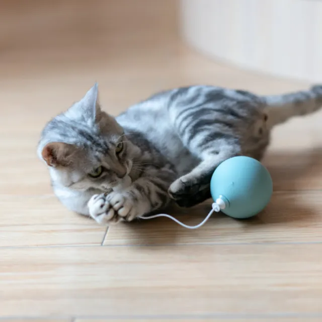 【pidan】電動不倒翁逗貓棒 貓用玩具 自嗨玩具(不規律旋轉 觸法毛孩的誘捕天性)