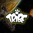 【TRIBE】義大利 TRIBE STARWARS 星際大戰 8GB 隨身碟(TIE Fighter Pilot)