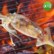 【賣魚的家】燒烤必備深海魷魚 10尾組(350g±3%/2尾/包 共5包)