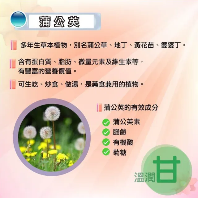 【湧鵬生技】魚腥草穿心蓮蒲公英素食膠囊3入組共180顆(魚腥草 穿心蓮 蒲公英)