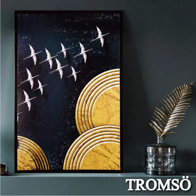 【TROMSO】北歐時代風尚有框畫-星辰繡鳥WA183(有框畫掛畫掛飾抽象畫)