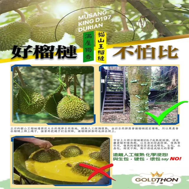 【Gold Thon】馬來西亞液態氮貓山王帶殼榴槤A果1.8-2.3KG*5顆(液態氮帶殼貓山王)