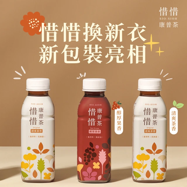 Kai 有機藍莓薑汁康普茶330ml 12入/箱(氣泡飲 益