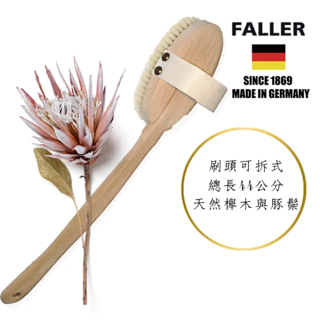 【FALLER 芙樂】德國製深層白豚鬃筋膜放鬆按摩刷可拆式(乾刷/沐浴按摩美容/雙11)
