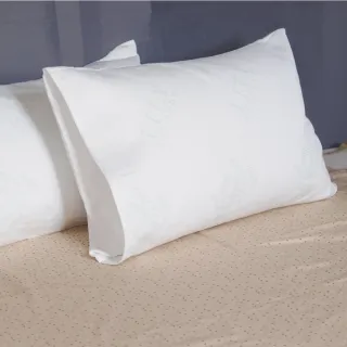 【LITA 麗塔寢飾】100%防水透氣 全包式 枕頭保潔墊2入(枕頭保潔墊)