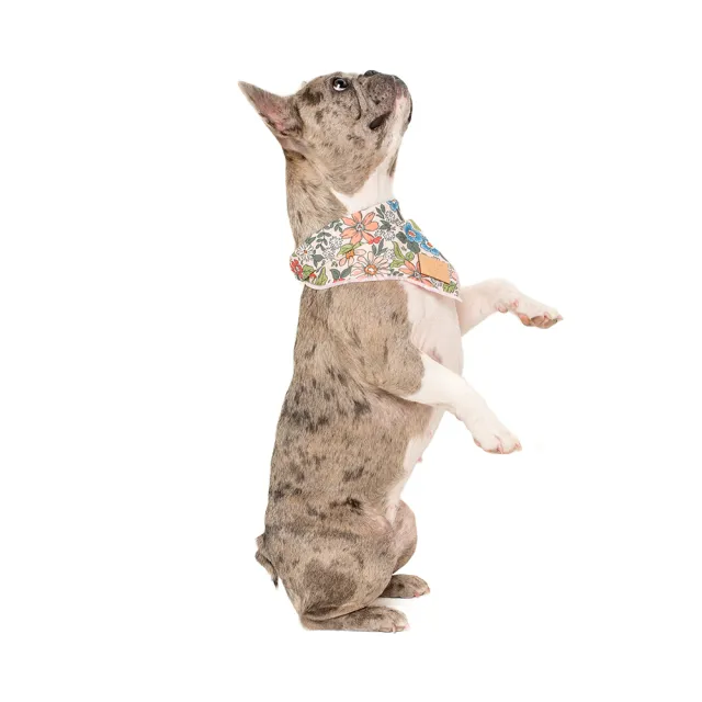 【Pablo & Co】寵物領巾 毛小孩 領巾 方巾 奶奶家花園 S