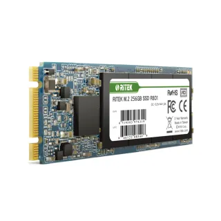【RITEK錸德】R801 512GB M2 2280/SATA-III SSD固態硬碟